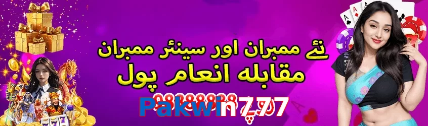 Pakwin777 interface sample